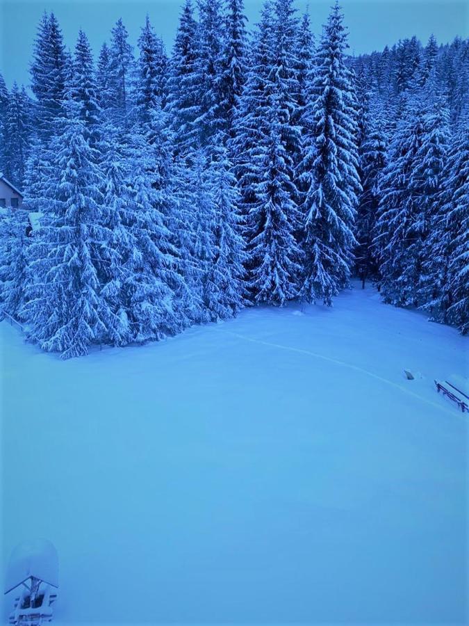Pensiunea Simona อาริเอเชนิ ภายนอก รูปภาพ